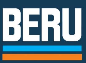 SUBFAMILIA DE BERU   BERU